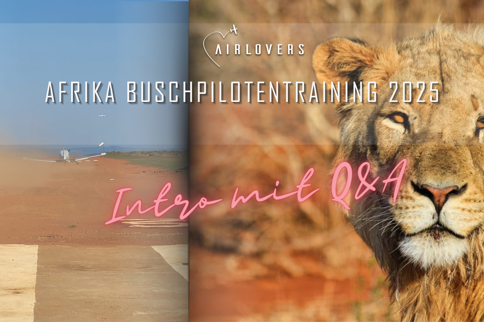 NLE: Intro mit Q&A Afrika Buschpiloten 2025