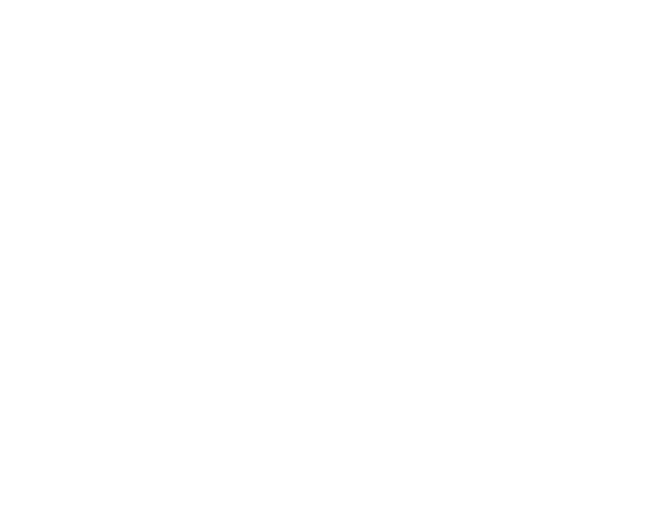 Air Lovers logo